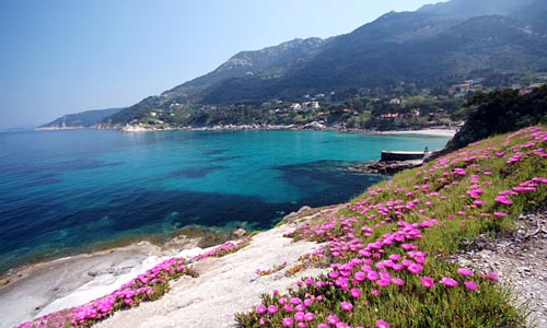 Sant'Andrea, Insel Elba